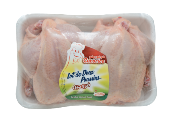 Lot de 2 Poussins